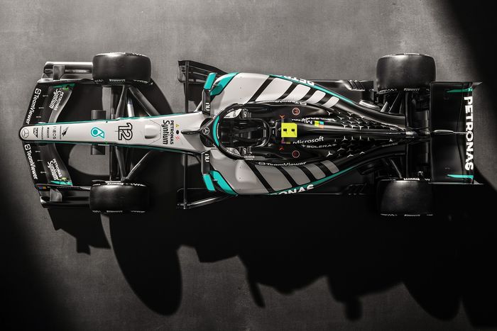 Revestimiento Mercedes W17