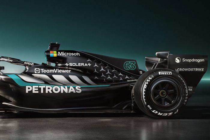 Revestimiento Mercedes W17