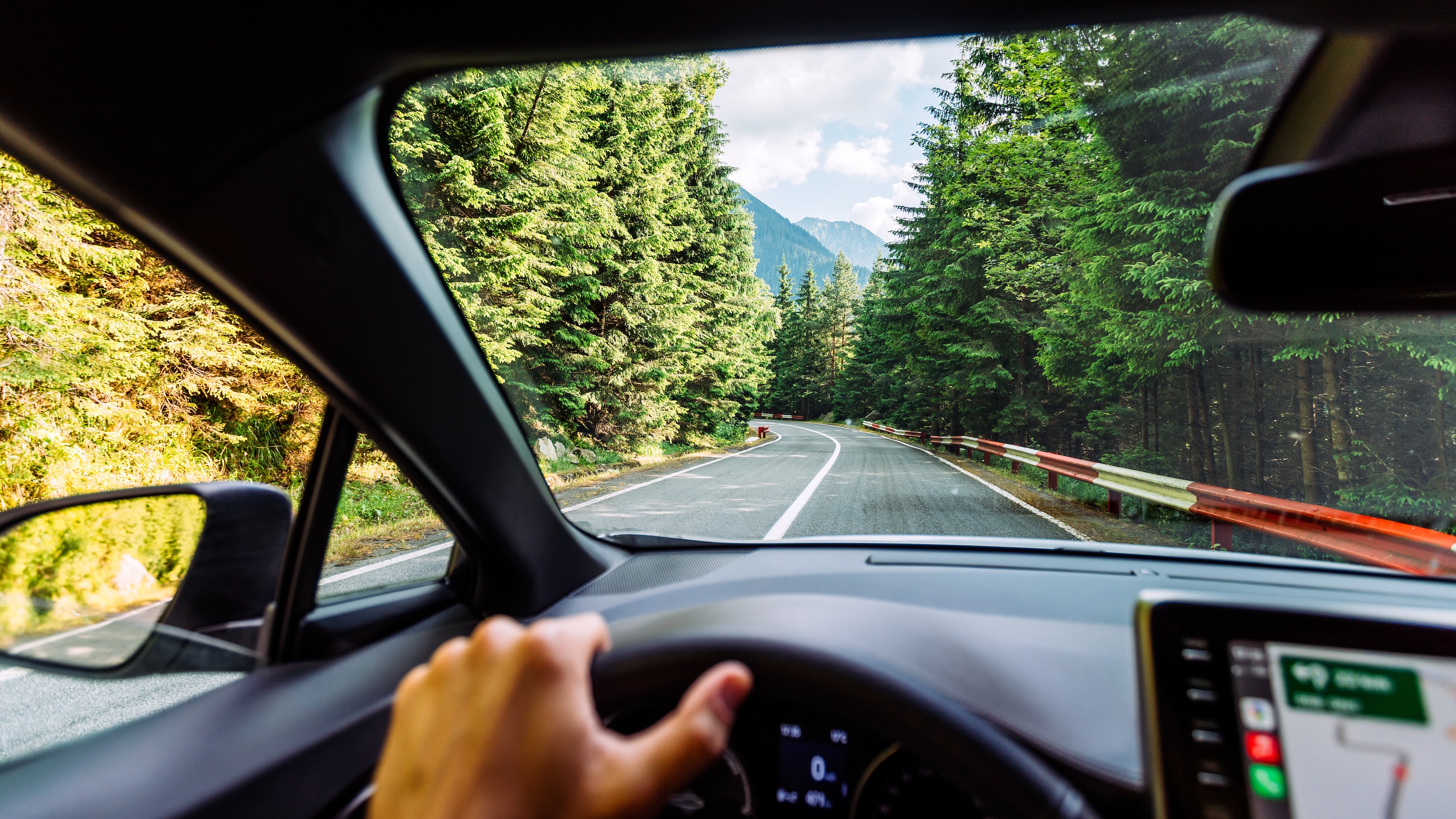 La mano en el volante del coche en una carretera arbolada