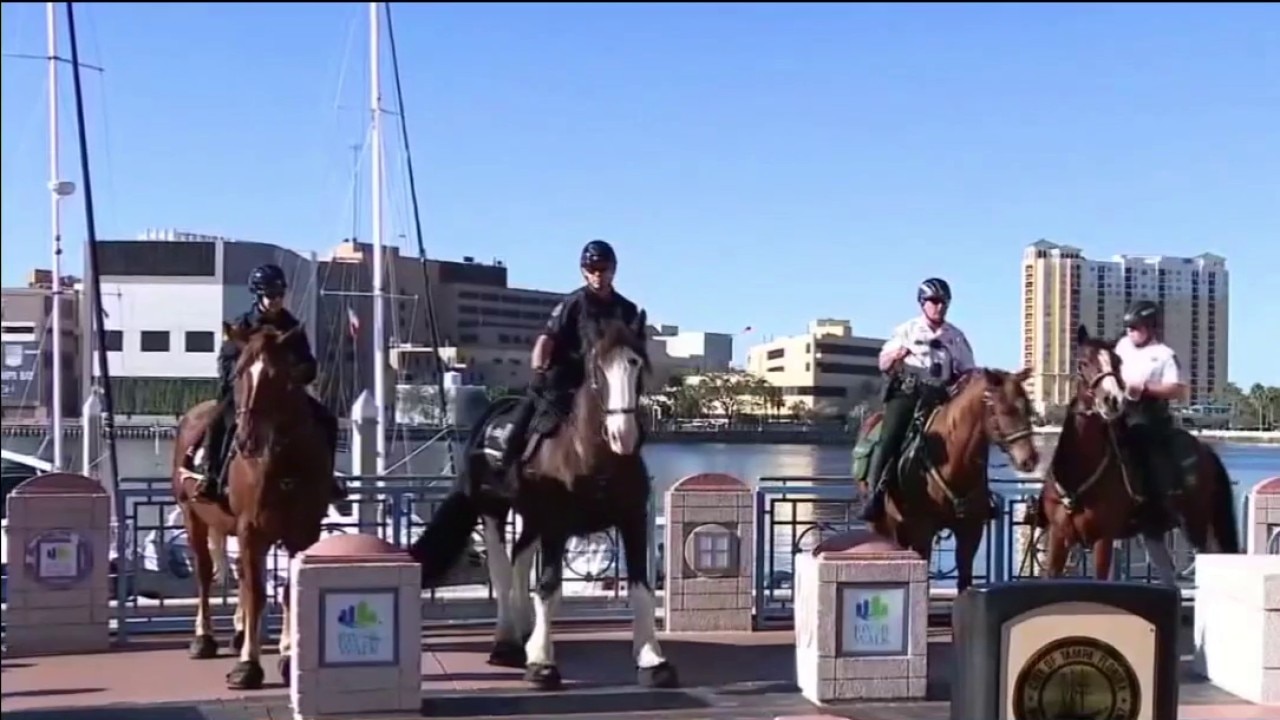 La policía de Tampa analiza la seguridad de Gasparilla